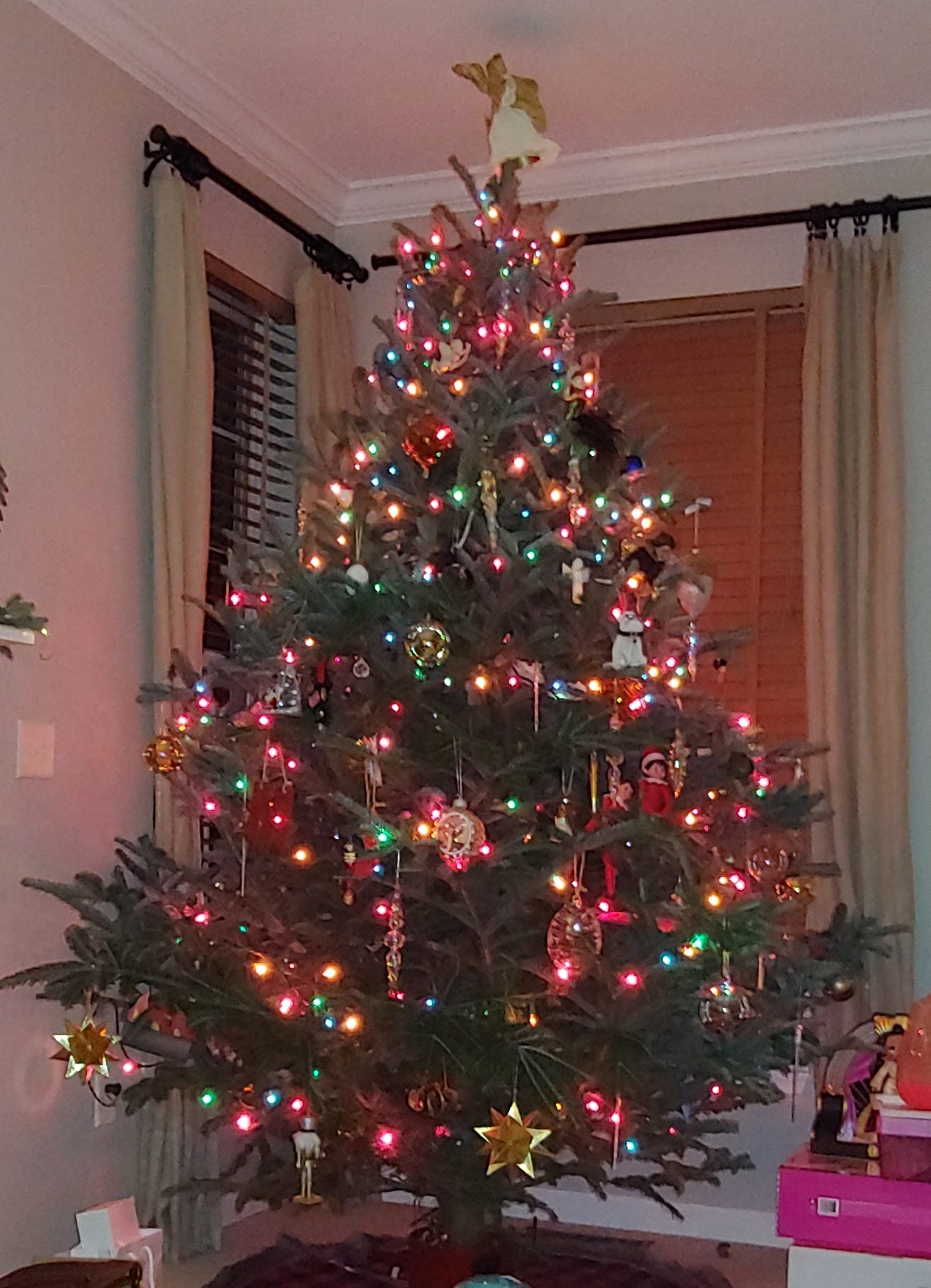 Joe's decorated Christmas Tree